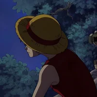 Monkey D Luffy