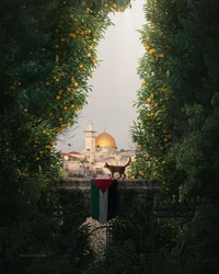 palestine
