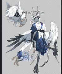 Male harpy 