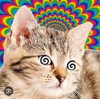 Kitty Hypnotizer