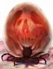 Necrotic Tick