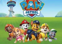 paw patrol