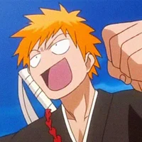 Ichigo kurosaki 