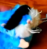 Presto da MLG Hamsta