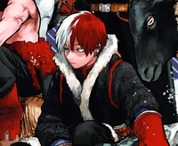 Shoto Todoroki