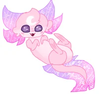 Kini the axolotl pet