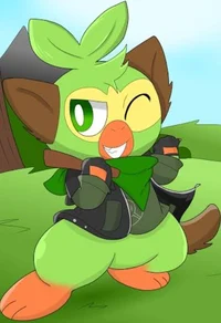 Shinky the grookey