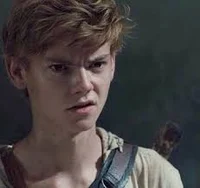 Newt