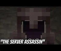 Server Assassin