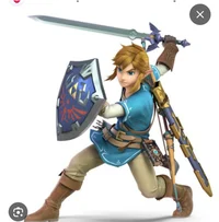 Tiny link the Hyrule