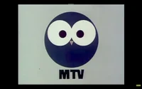 MTV Oy