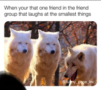 Friend Group