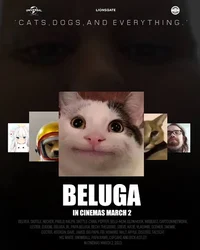 Beluga Universe 