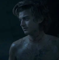 Steve Harrington 