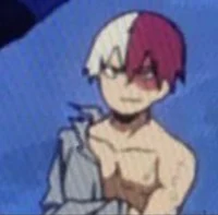 TODOROKI 