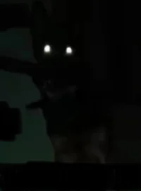 Childhood pet