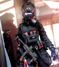 Sua parceira militar