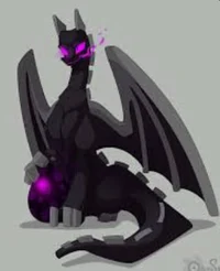 The Ender Dragon