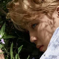 fairy jimin