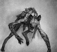 Skinwalker