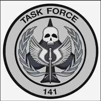 Task force 141