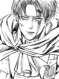 SNK Levi Ackerman