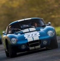 Shelby daytona