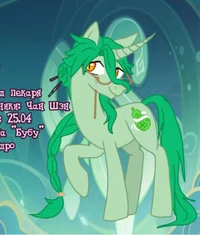 Пони Бай Чжу 