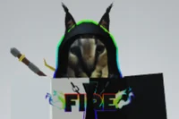 Reporter_floppaprovr