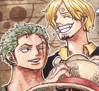 Zoro and Sanji 
