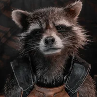 Rocket Raccoon