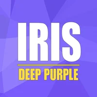 Iris Deep Purple