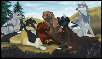 Wolf Pack