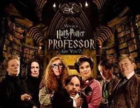 Hogwarts professors