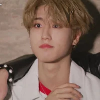 Han Jisung 