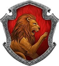 Gryffindor boys 