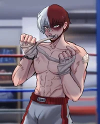 Тодороки Шото