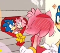 Amy rose