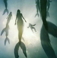 Mermaid Rehab