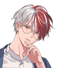 Shoto Todoroki