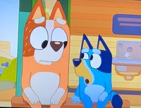 Bluey 
