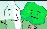 Tree x bottle rp