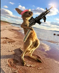 Bob the kangaroo
