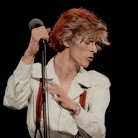 David Bowie