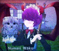 Numaii Wakoni