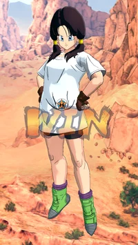 Videl 