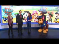 paw patrol live stud