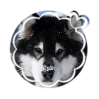 00 - MUTT REQ BOT