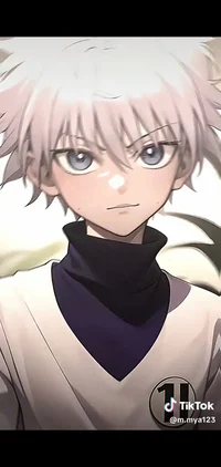 Killua zoldyck