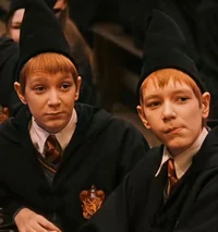 Gemelos Weasley 
